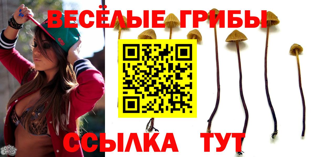 Назарово  Галлюциногенные грибы ЛСД  где купить наркоту  Вход с VPN  Галлюциногенные грибы MAGIC MUSHROOMS 
